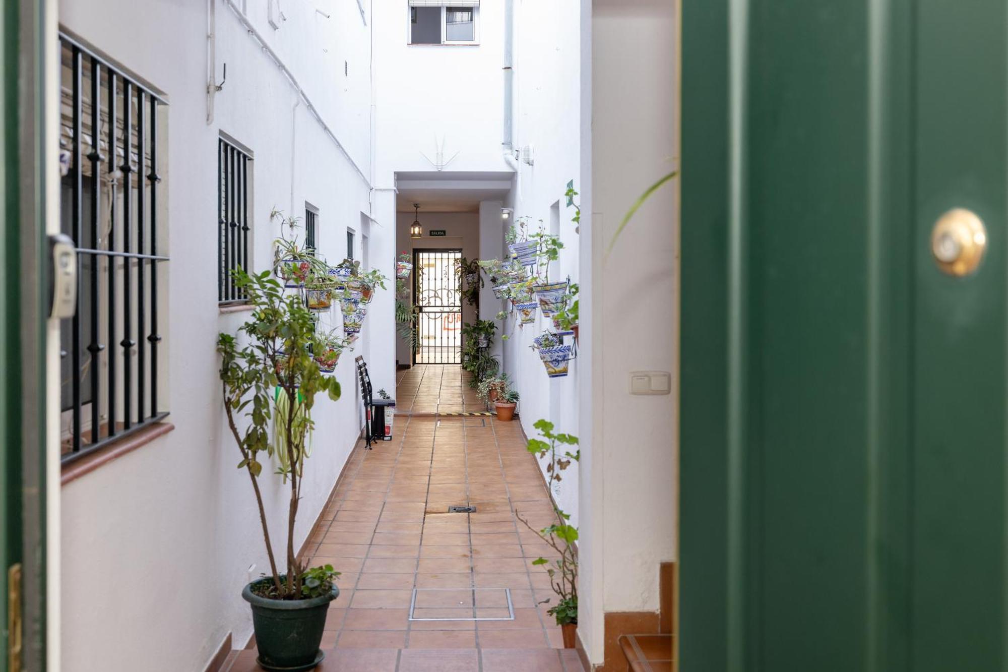 Apartamentos Trianasol Sevilla Kültér fotó
